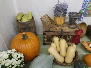 pumpkins and gourds