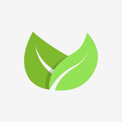 Leaf Pair Color Vector Icon
