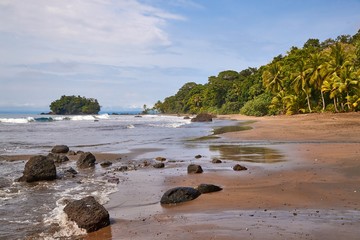 Palm trees and sandy beach on the Pacific Ocean shore in Choco, Colombia, near Nuqui - 352553283