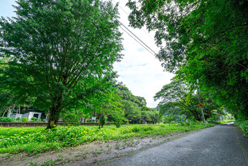 【千葉県 小湊鉄道】上総大久保駅近辺の風景