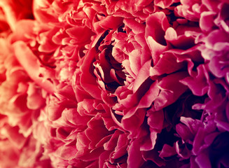  abstract flower background