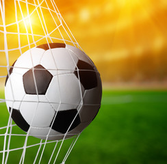 Soccer ball in the net