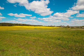 Pleasant sunny summer landscape: old blue sky and clouds, green grass, yellow dandelion flowers on a meadow and country road. A idyllic scenery view.