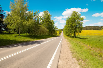 Fototapeta na wymiar Pleasant sunny summer landscape: old blue sky and clouds, green grass, yellow dandelion rapeseed flowers on a meadow and a highway road. A happy scenery view and spirit of adventure.