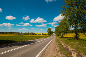 Fototapeta premium Pleasant sunny summer landscape: old blue sky and clouds, green grass, yellow dandelion rapeseed flowers on a meadow and a highway road. A happy scenery view and spirit of adventure.