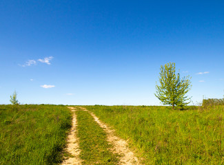 Pleasant sunny summer landscape: old blue sky and clouds, green grass, yellow dandelion flowers on a meadow and country road. A happy scenery view.