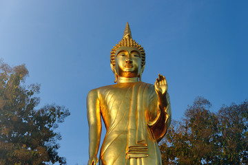 Fototapeta premium golden buddha statue in thailand