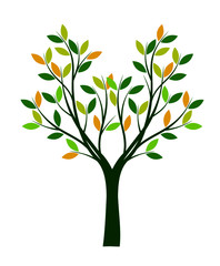 Colour vector Tree. Outline illustration.