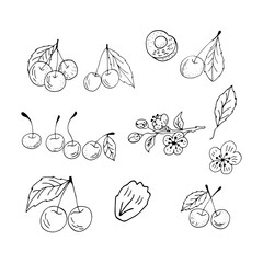 Doodle Cherry. Cherry on a branch with a leaf. Freehand drawing. A set of cherries. Black lines on a white background. Cherry isolated on a white background. Vector.