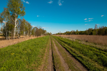 Pleasant sunny summer landscape: old blue sky and clouds, green grass, yellow dandelion flowers on a meadow and country road. A happy scenery view.