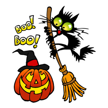 Pumpkin with witch hat scared black cat on broom, halloween theme color cartoon