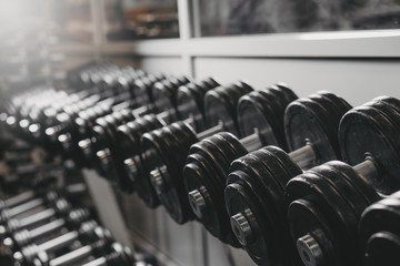 Rows of dumbbells on rack in gym.