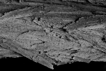Organic texture. Abstract texture. Vintage rustic style background. Natural surface
