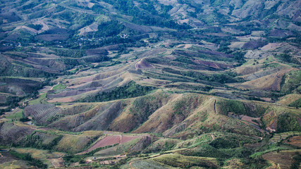 Mountain in the forest in Thailand, Asia.