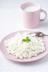 Cottage cheese in a pink plate and milk isolated on a white background