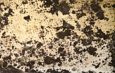 grunge texture background