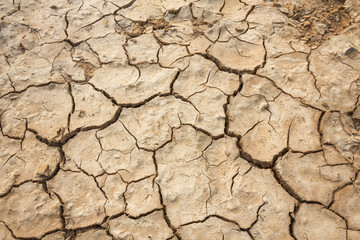 Cracked ground