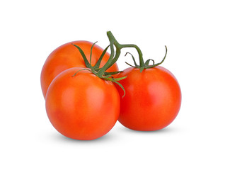 Tomato red isolated on white background