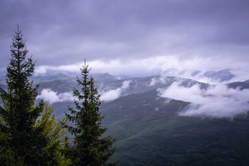 Landscape with fog covering mountain forest.