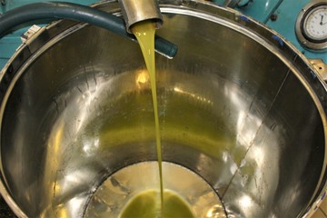 Extra virgin olive oil extraction process in olive oil mill in Greece.