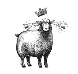 Cartoon Stylized Sheep with the crown over her head. Vector illustration of the Queen Sheep in graphic style on the white background.