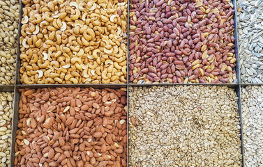 different kinds of beans
