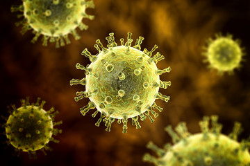 Varicella zoster or chickenpox virus