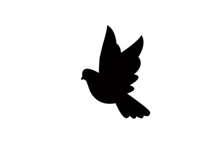 bird icon on white background.bird iconfor web and app.
