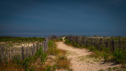 Sandy path between rustic wooden fences and wild vegetation.
