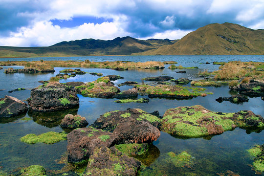 Lagoon, El Cajas National Park, Grassland Ecosystem, Ramsar Wetland, Highlands, Azuay Province, Ecuador, America