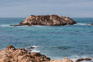 Sea lions on 17 Mile Drive road in Monterey.