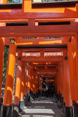 temple in kyoto
