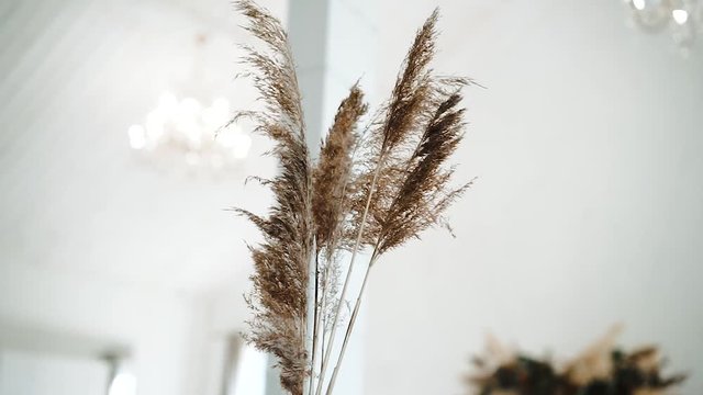 Decoration at the wedding, a bouquet of dried flowers