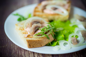 sandwich with salad, herring and herbs with onions in a plate