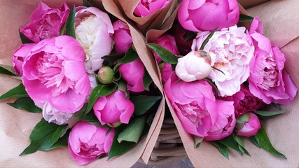 Bunches of pink peony rose flowers © Heynicepictures