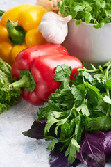assortment of fresh vegetables on the table. Pepper, Basil, Parsley, Dill, Onion Copy space