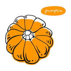 Pumpkin. Colorful sketch collection of vegetables isolated on white background. Doodle hand drawn vegetable icons. Vector illustration