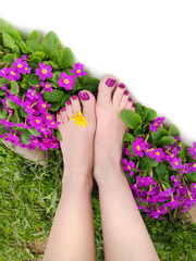 Obraz na płótnie Canvas Beautiful purple pedicure on women's feet with flowers on a white background.