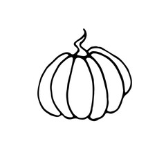 Pumpkin icon in sketch style isolated on white background. Outline doodle. Symbol autumn, crop, fruitful year. Hand drawn vector EPS10 illustration