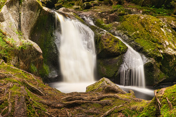 Fototapeta premium Kleiner Bachlauf mit einem schönen Wasserfall im Hotzenwald