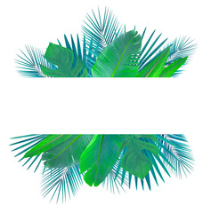 Banner with tropical leaves isolated on white. Green and bluish leaves.