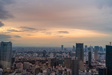 Naklejka na ściany i meble Tokyo Tower Top