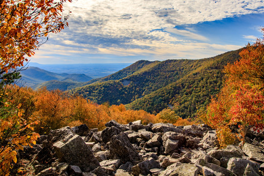 Fall Mountains and Trees along Blackrock Summit Trail in Shenandoah Park, Virginia