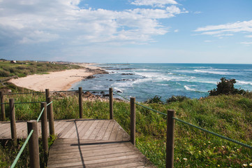 Fototapeta premium Beautiful views of the ocean and the waves of the wooden trail, blue sky, green nature around