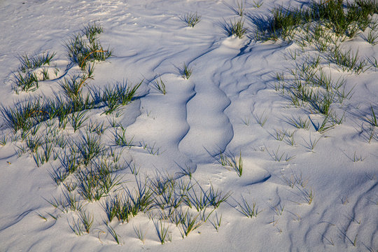 Ripples In Sand And Grass At Fort De Soto Park, Pinellas County, FL, USA