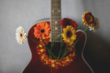Colorful flowers in a red guitar. Nature in music