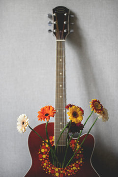 Colorful flowers in a red guitar. Nature in music