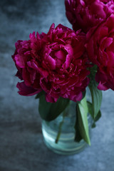 burgundy peonies © Viktoriia