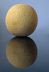 Whole cantaloupe melon and its reflection isolated on white