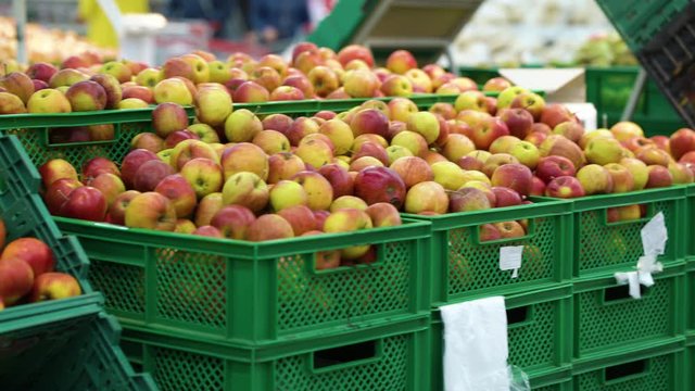 Tracking shot of apples in plastic boxes in supermarket